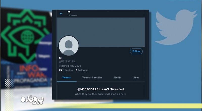 مریم رجوی، هدف پروژه امنیتی تخریب توسط سایبری سپاه و وزارت اطلاعات - قسمت دوم